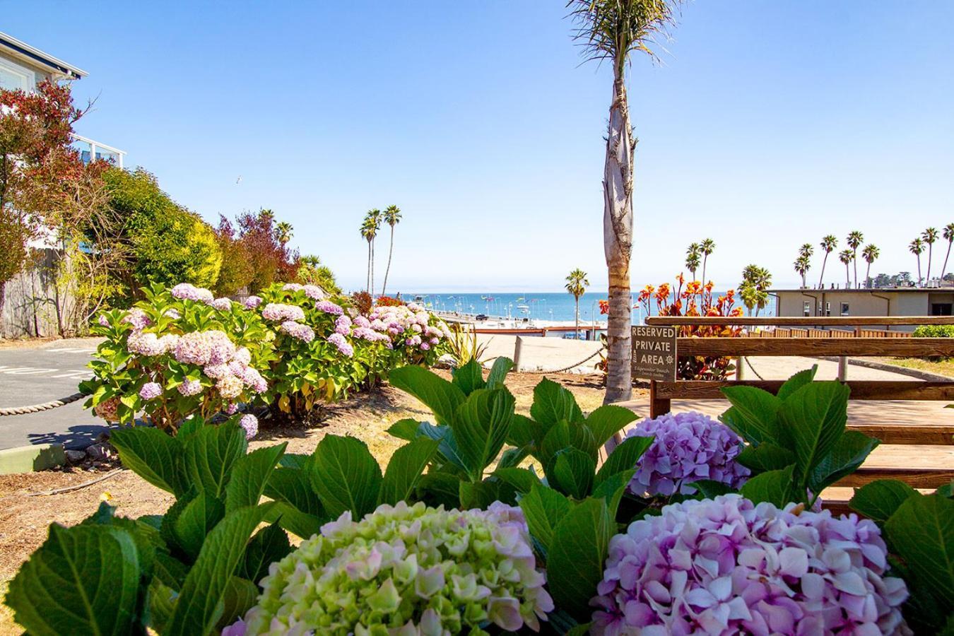Edgewater Beach Inn 圣克鲁兹 外观 照片